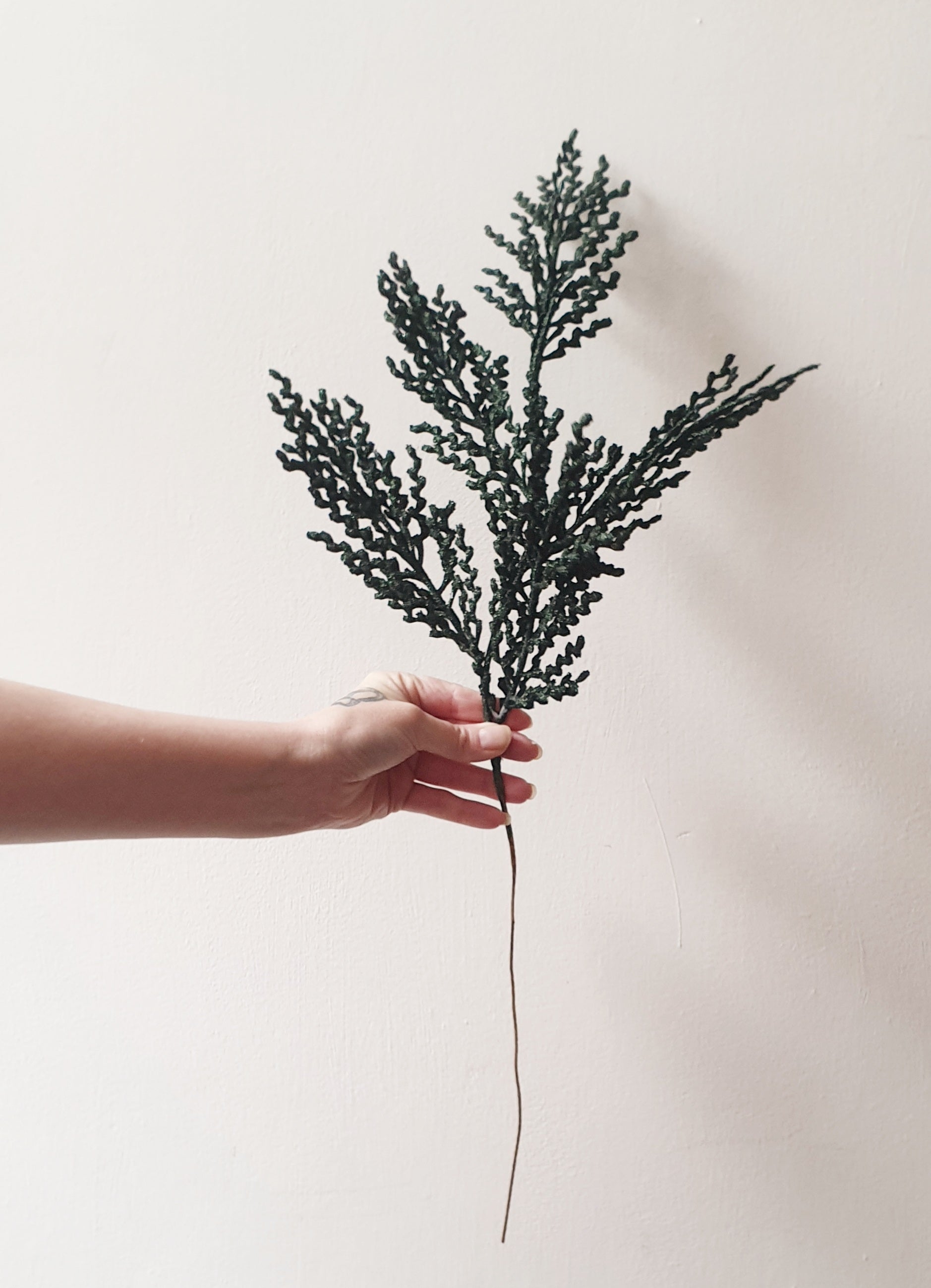 wedding flowers Cheshire - Hand holding a long green branch against a plain background