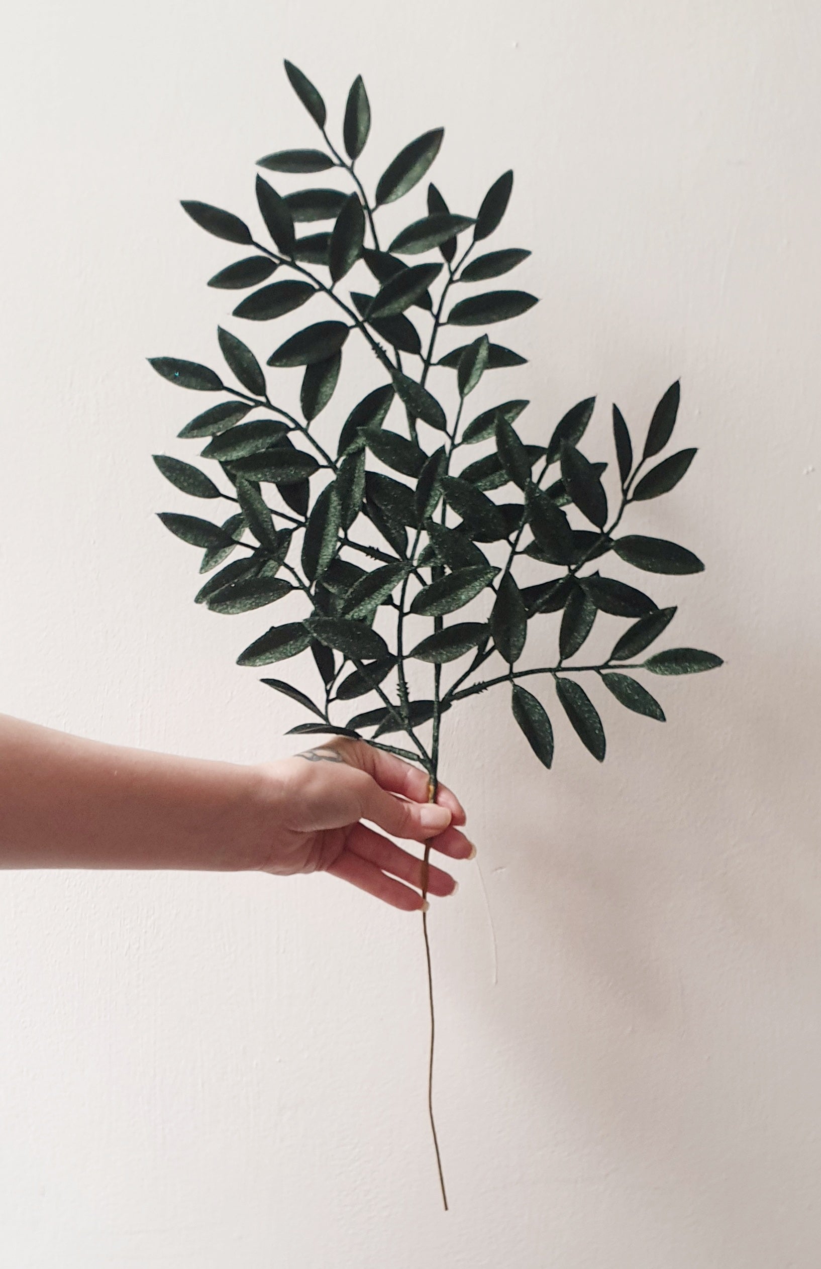 wedding flowers Cheshire - Hand holding a branch with green leaves against a plain background