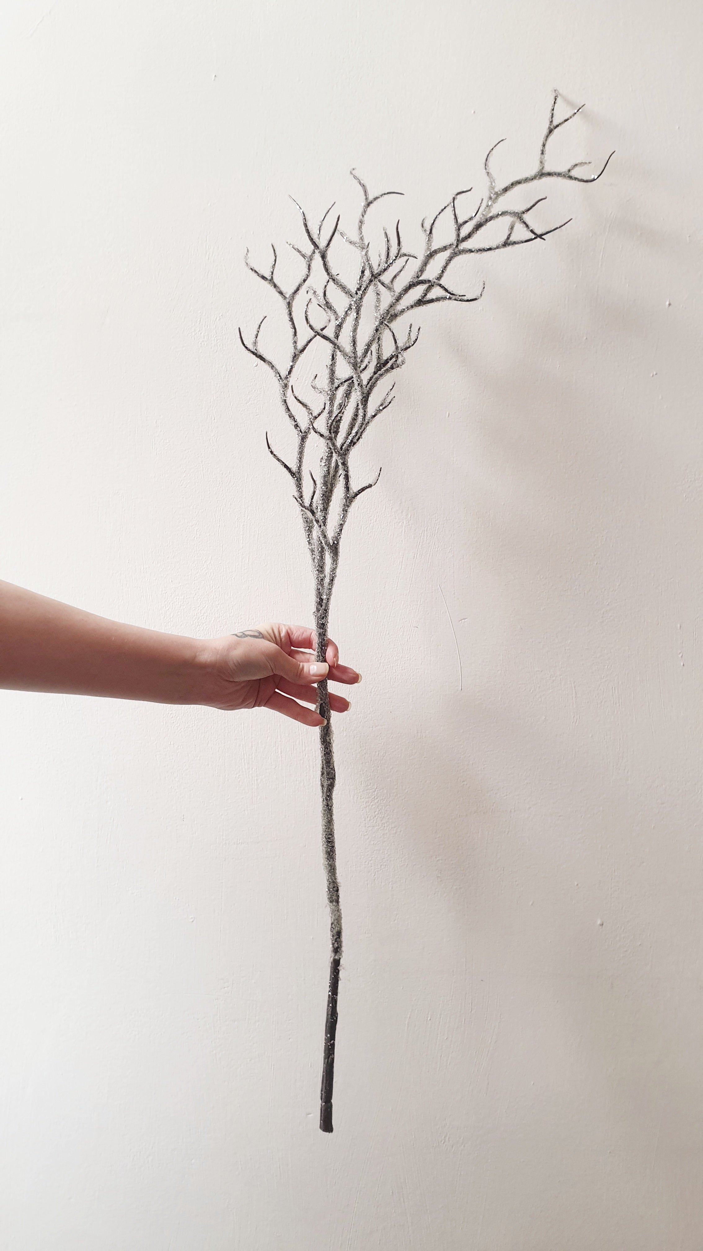 wedding flowers Cheshire - Hand holding a branch against a plain background