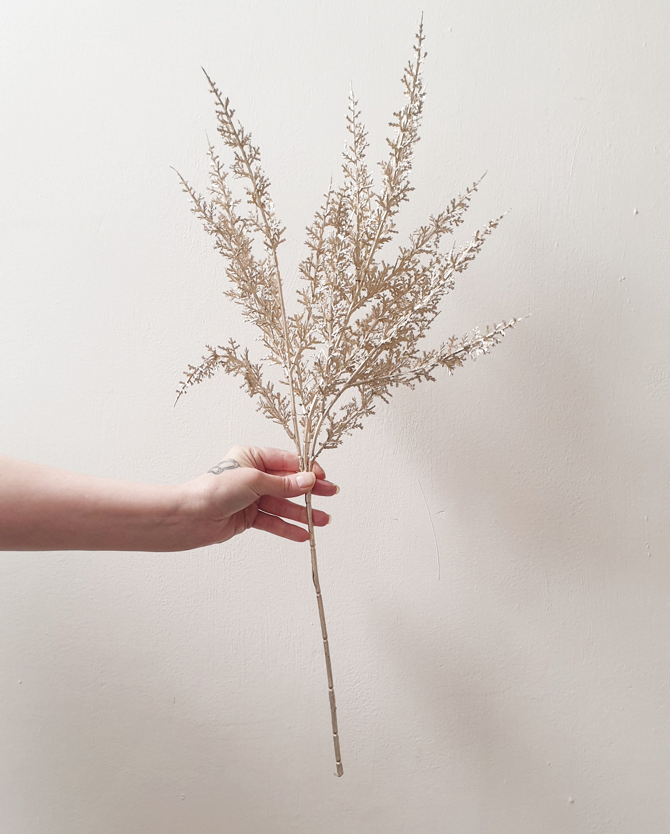 wedding flowers Cheshire - Hand holding a dried plant against a plain background